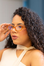 Armação Maia