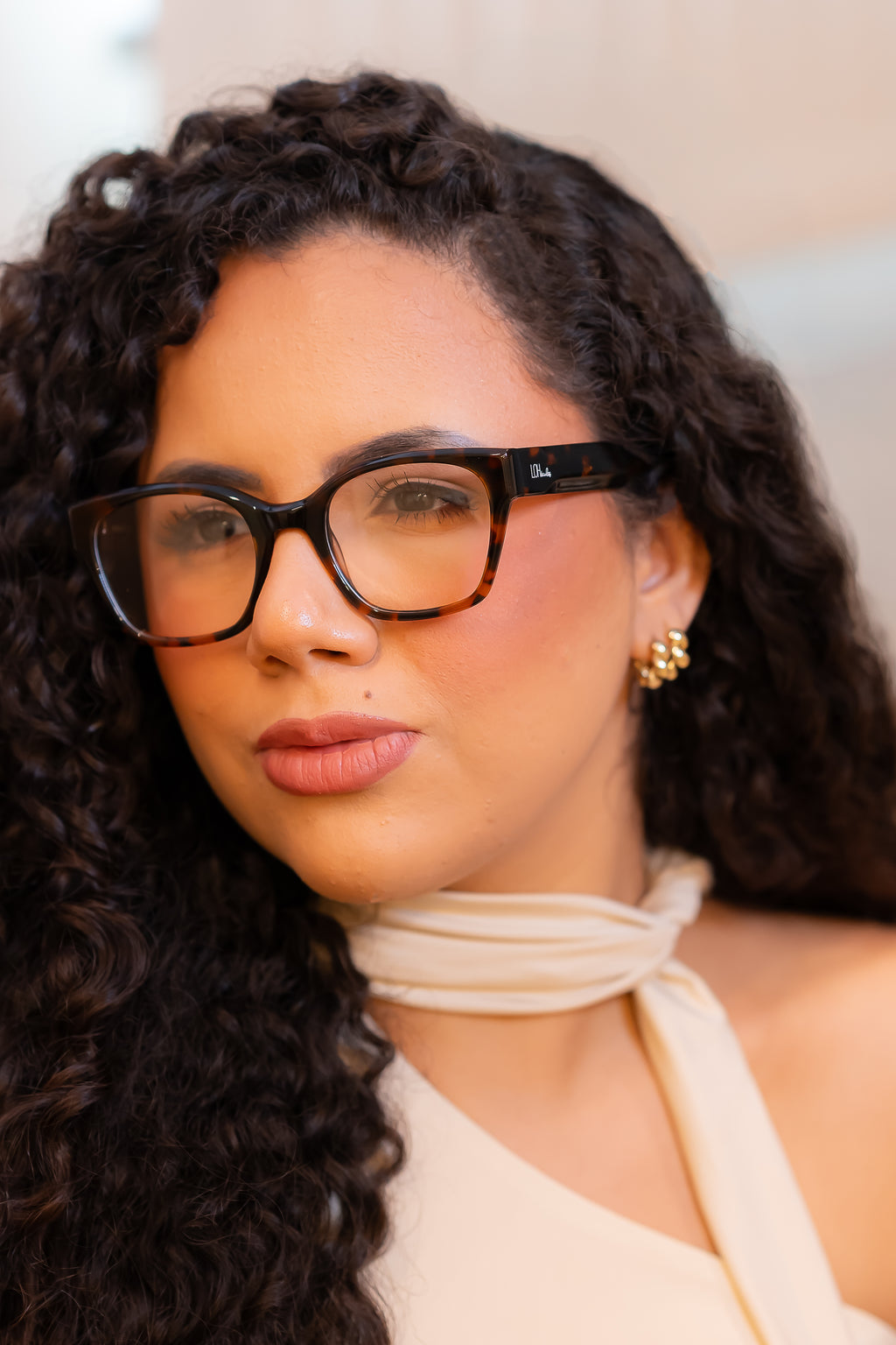 Armação Elisa